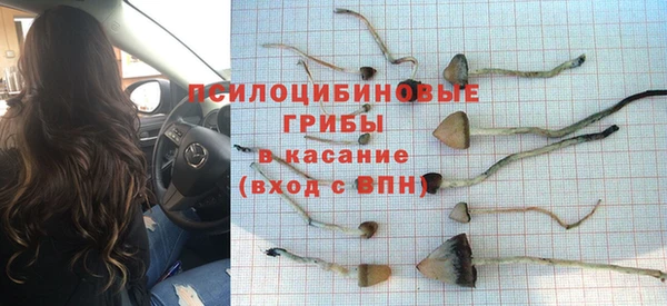 крисы Алексеевка