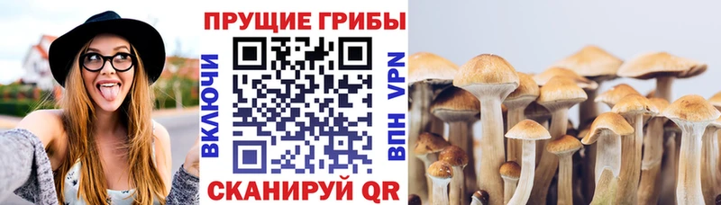 Псилоцибиновые грибы мухоморы  даркнет сайт  Калининград 